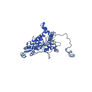 15052_8a0e_A_v1-0
CryoEM structure of DHS-eIF5A1 complex