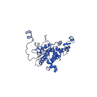 15052_8a0e_B_v1-0
CryoEM structure of DHS-eIF5A1 complex
