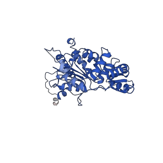 15052_8a0e_C_v1-0
CryoEM structure of DHS-eIF5A1 complex