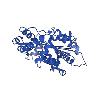 15052_8a0e_D_v1-0
CryoEM structure of DHS-eIF5A1 complex