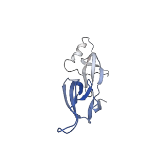 15052_8a0e_E_v1-0
CryoEM structure of DHS-eIF5A1 complex