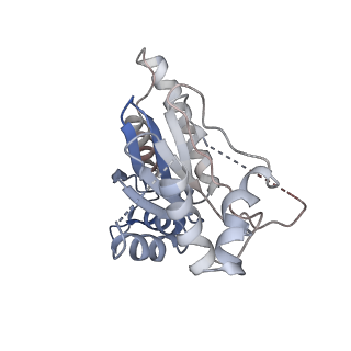 2981_5a0q_D_v1-1
Cryo-EM reveals the conformation of a substrate analogue in the human 20S proteasome core