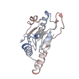 2981_5a0q_H_v1-1
Cryo-EM reveals the conformation of a substrate analogue in the human 20S proteasome core