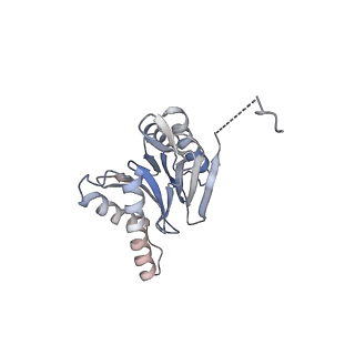 2981_5a0q_I_v1-1
Cryo-EM reveals the conformation of a substrate analogue in the human 20S proteasome core
