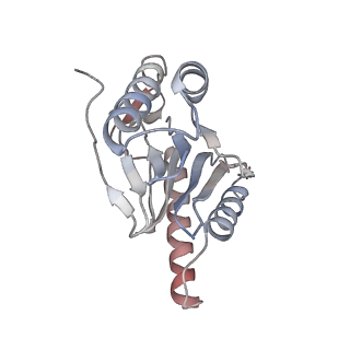 2981_5a0q_L_v1-1
Cryo-EM reveals the conformation of a substrate analogue in the human 20S proteasome core