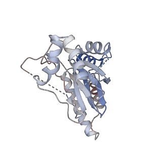 2981_5a0q_R_v1-1
Cryo-EM reveals the conformation of a substrate analogue in the human 20S proteasome core