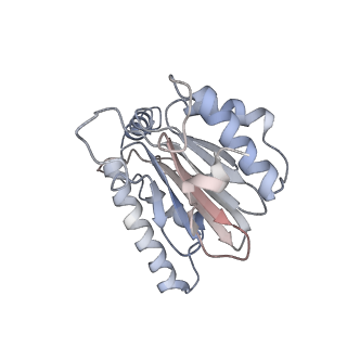 2981_5a0q_S_v1-1
Cryo-EM reveals the conformation of a substrate analogue in the human 20S proteasome core