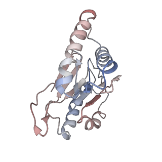 2981_5a0q_V_v1-1
Cryo-EM reveals the conformation of a substrate analogue in the human 20S proteasome core