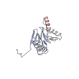2981_5a0q_W_v1-1
Cryo-EM reveals the conformation of a substrate analogue in the human 20S proteasome core