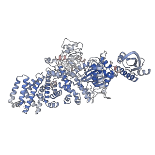 11606_7a1d_A_v1-1
Cryo-EM map of the large glutamate dehydrogenase composed of 180 kDa subunits from Mycobacterium smegmatis (open conformation)