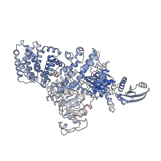 11606_7a1d_B_v1-1
Cryo-EM map of the large glutamate dehydrogenase composed of 180 kDa subunits from Mycobacterium smegmatis (open conformation)