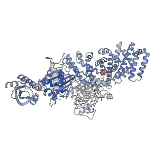 11606_7a1d_C_v1-1
Cryo-EM map of the large glutamate dehydrogenase composed of 180 kDa subunits from Mycobacterium smegmatis (open conformation)