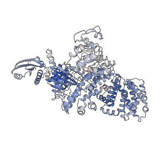 11606_7a1d_D_v1-1
Cryo-EM map of the large glutamate dehydrogenase composed of 180 kDa subunits from Mycobacterium smegmatis (open conformation)