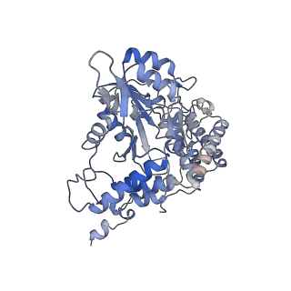 15065_8a11_A_v1-0
Cryo-EM structure of the Human SHMT1-RNA complex