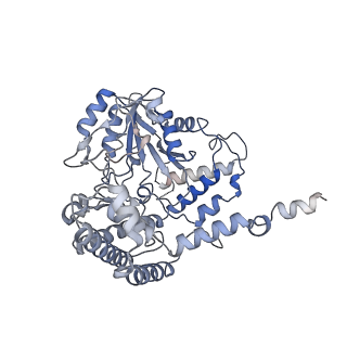 15065_8a11_B_v1-0
Cryo-EM structure of the Human SHMT1-RNA complex