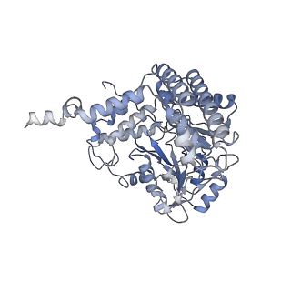 15065_8a11_C_v1-0
Cryo-EM structure of the Human SHMT1-RNA complex