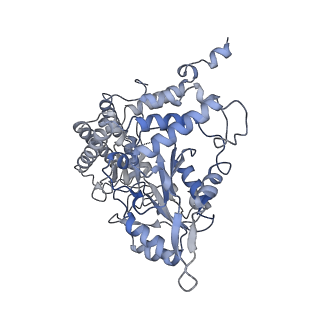 15065_8a11_D_v1-0
Cryo-EM structure of the Human SHMT1-RNA complex