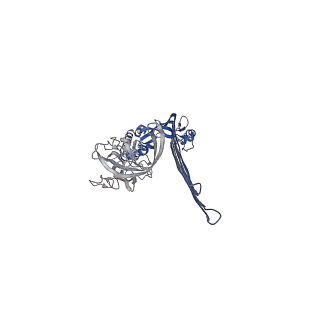 15072_8a1d_D_v1-2
Structure of murine perforin-2 (Mpeg1) pore in ring form