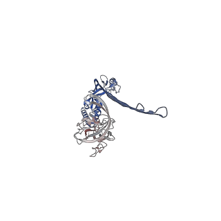 15072_8a1d_F_v1-2
Structure of murine perforin-2 (Mpeg1) pore in ring form