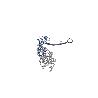 15072_8a1d_G_v1-2
Structure of murine perforin-2 (Mpeg1) pore in ring form
