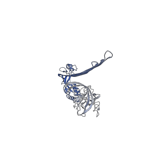 15072_8a1d_H_v1-2
Structure of murine perforin-2 (Mpeg1) pore in ring form