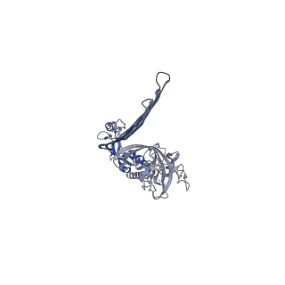 15072_8a1d_I_v1-2
Structure of murine perforin-2 (Mpeg1) pore in ring form