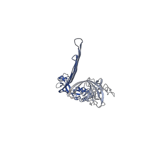 15072_8a1d_J_v1-2
Structure of murine perforin-2 (Mpeg1) pore in ring form