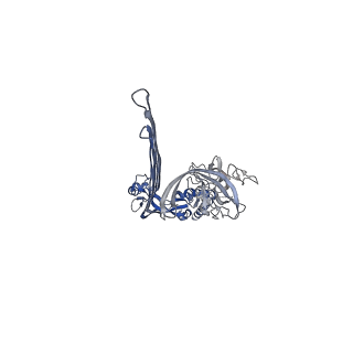15072_8a1d_K_v1-2
Structure of murine perforin-2 (Mpeg1) pore in ring form