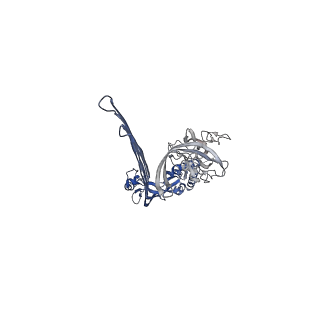 15072_8a1d_L_v1-2
Structure of murine perforin-2 (Mpeg1) pore in ring form