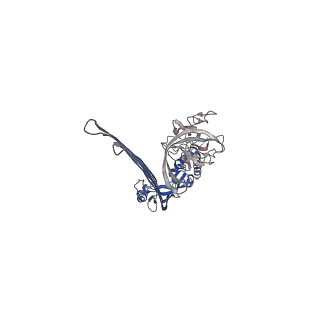 15072_8a1d_M_v1-2
Structure of murine perforin-2 (Mpeg1) pore in ring form