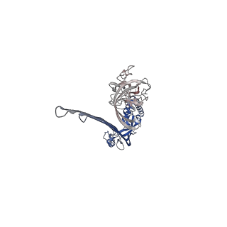 15072_8a1d_N_v1-2
Structure of murine perforin-2 (Mpeg1) pore in ring form