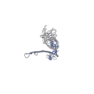 15072_8a1d_O_v1-2
Structure of murine perforin-2 (Mpeg1) pore in ring form
