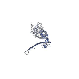 15072_8a1d_P_v1-2
Structure of murine perforin-2 (Mpeg1) pore in ring form