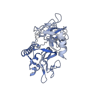 15073_8a1e_A_v1-2
Rabies virus glycoprotein in complex with Fab fragments of 17C7 and 1112-1 neutralizing antibodies