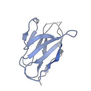 15073_8a1e_C_v1-2
Rabies virus glycoprotein in complex with Fab fragments of 17C7 and 1112-1 neutralizing antibodies