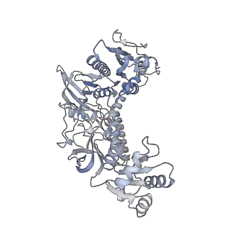 15084_8a1r_A_v1-1
cryo-EM structure of thioredoxin glutathione reductase in complex with a non-competitive inhibitor