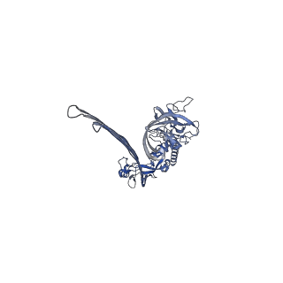 15086_8a1s_B_v2-0
Structure of murine perforin-2 (Mpeg1) pore in twisted form