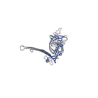 15086_8a1s_C_v2-0
Structure of murine perforin-2 (Mpeg1) pore in twisted form