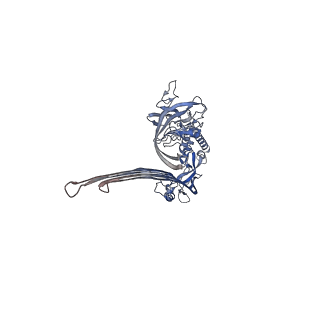 15086_8a1s_D_v2-0
Structure of murine perforin-2 (Mpeg1) pore in twisted form