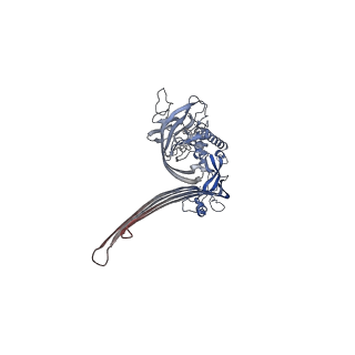 15086_8a1s_E_v2-0
Structure of murine perforin-2 (Mpeg1) pore in twisted form