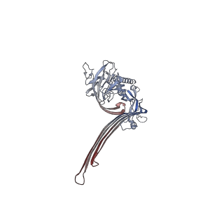 15086_8a1s_F_v2-0
Structure of murine perforin-2 (Mpeg1) pore in twisted form