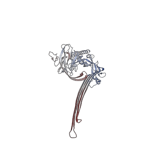 15086_8a1s_G_v2-0
Structure of murine perforin-2 (Mpeg1) pore in twisted form