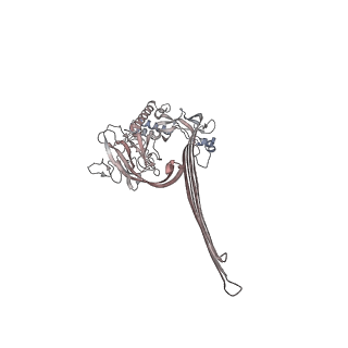 15086_8a1s_I_v2-0
Structure of murine perforin-2 (Mpeg1) pore in twisted form