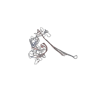 15086_8a1s_J_v2-0
Structure of murine perforin-2 (Mpeg1) pore in twisted form