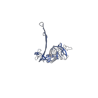 15086_8a1s_P_v2-0
Structure of murine perforin-2 (Mpeg1) pore in twisted form