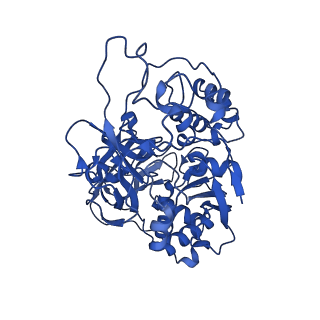 15088_8a1t_A_v1-3
Sodium pumping NADH-quinone oxidoreductase