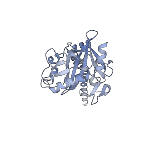 15088_8a1t_C_v1-3
Sodium pumping NADH-quinone oxidoreductase