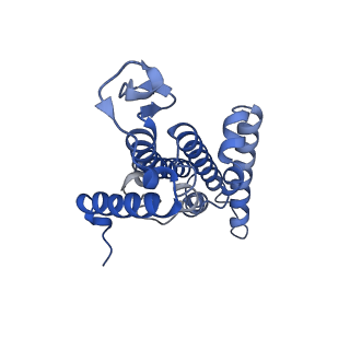 15088_8a1t_D_v1-3
Sodium pumping NADH-quinone oxidoreductase