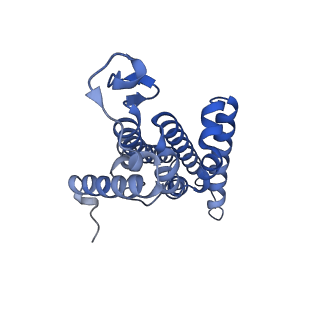 15089_8a1u_D_v1-2
Sodium pumping NADH-quinone oxidoreductase with substrates NADH and Q2