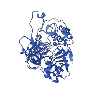 15090_8a1v_A_v1-3
Sodium pumping NADH-quinone oxidoreductase with substrate Q2